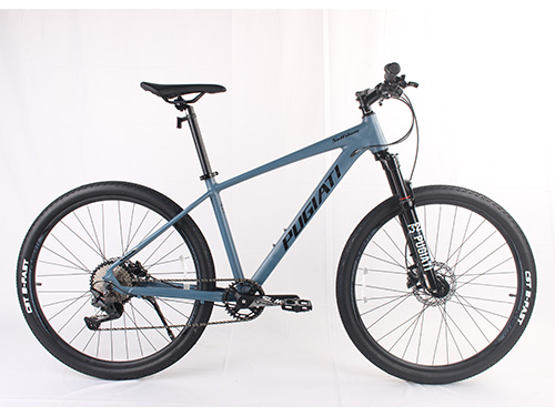 XT820 10